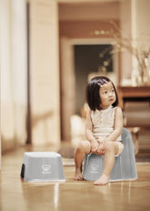Potty Chair