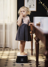 Step Stool
