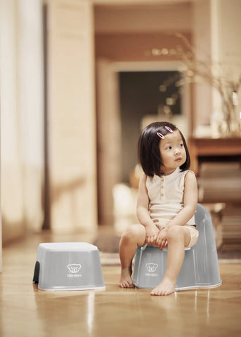Potty Chair