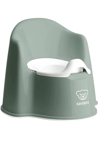 Potty Chair