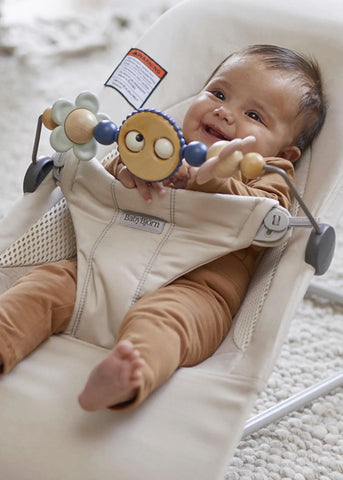 Toy for Bouncer – Googly eyes