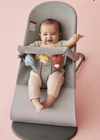 Bouncer Bundle with Toy