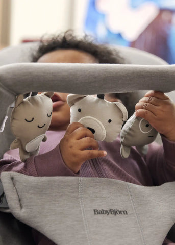Toy for Bouncer – Soft friends