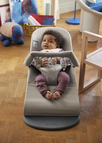 Toy for Bouncer – Soft friends