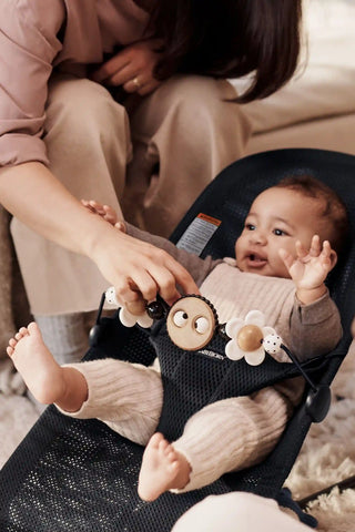 Bouncer Bundle with Toy