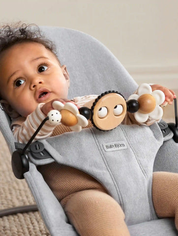Toy for Bouncer – Googly eyes