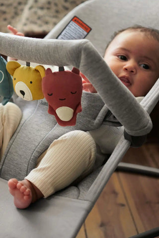 Bouncer Bundle with Toy