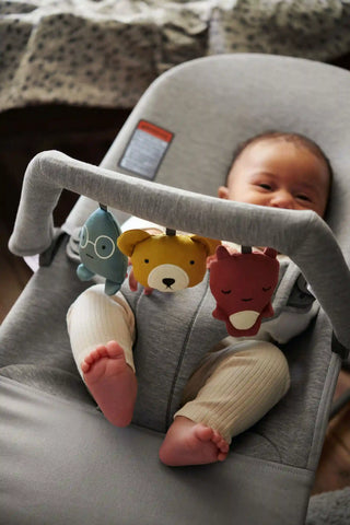 Bouncer Bundle with Toy